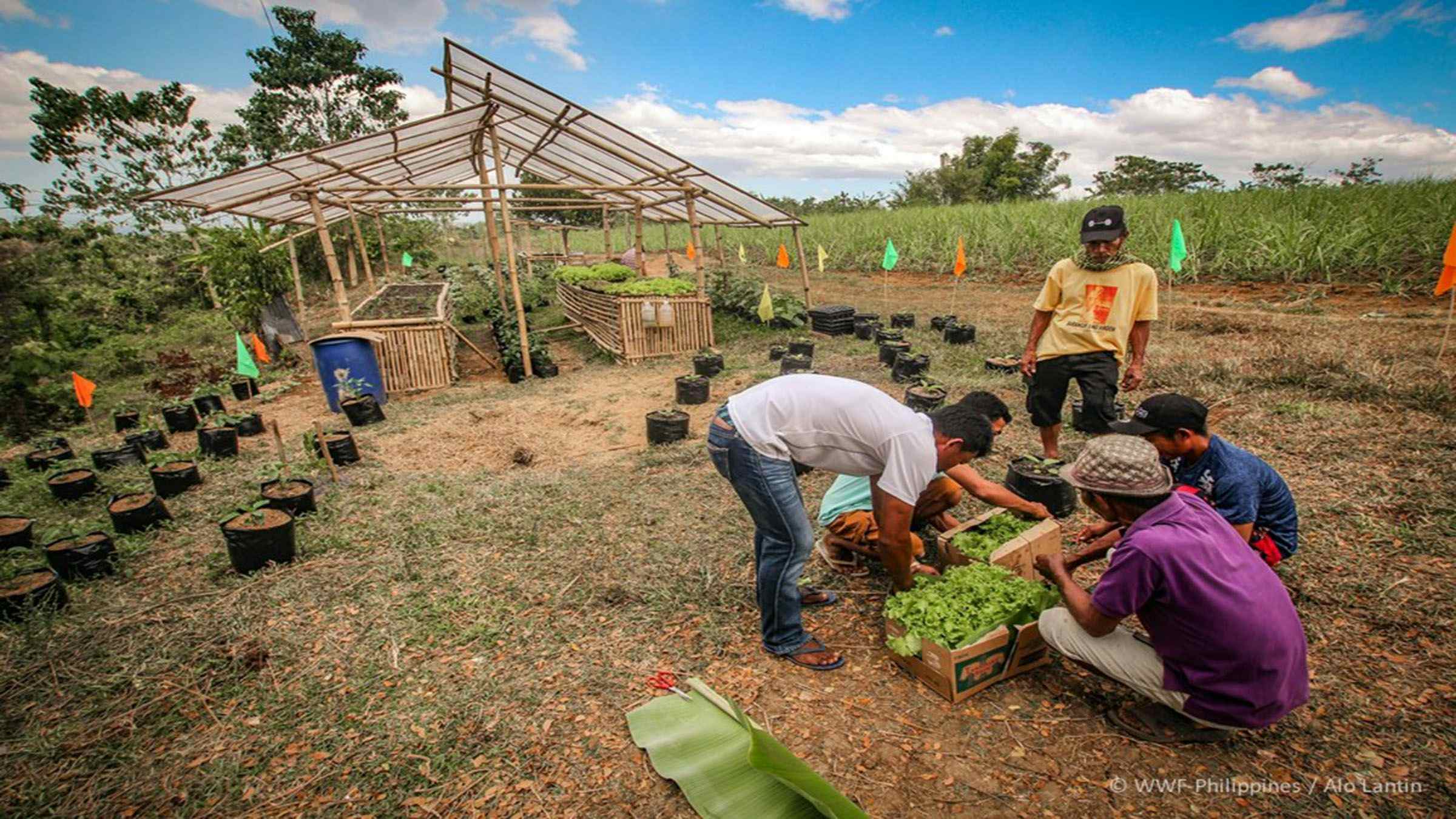 Unlocking the Potential A Glimpse into Sustainable Living in the Philippines