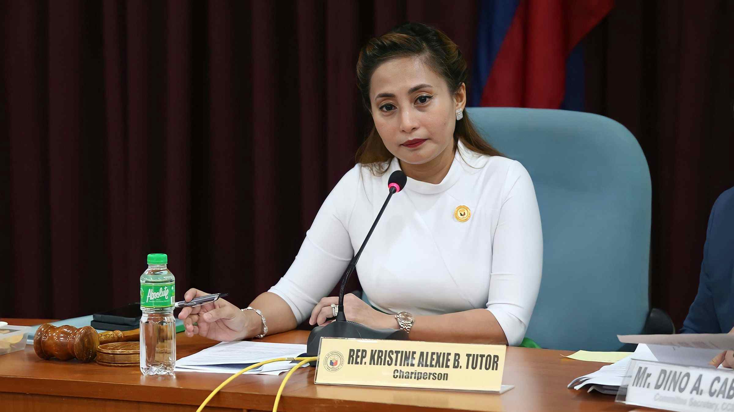 Lawmaker bats for CHED access to unprogrammed funds